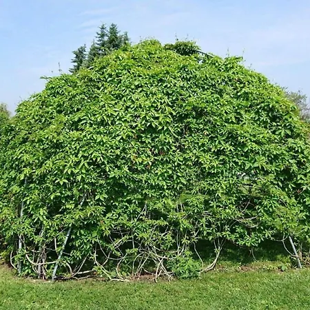 Alte Kaeserei Comfortable * Kossern