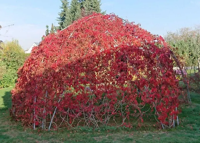 Alte Kaeserei Comfortable Kossern