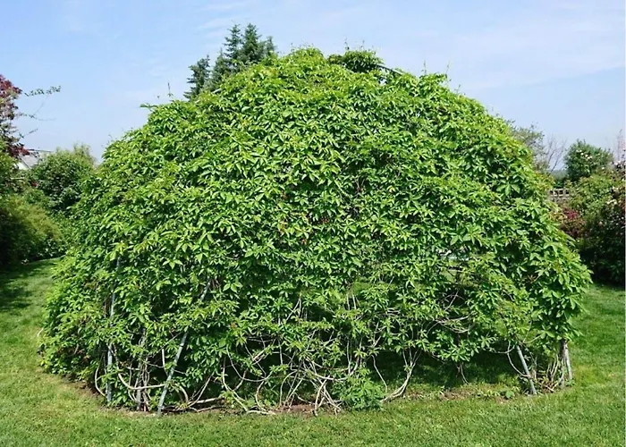 Alte Kaeserei Comfortable * Kossern